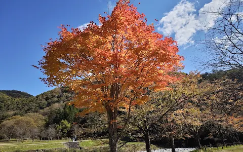 Furusato Park image