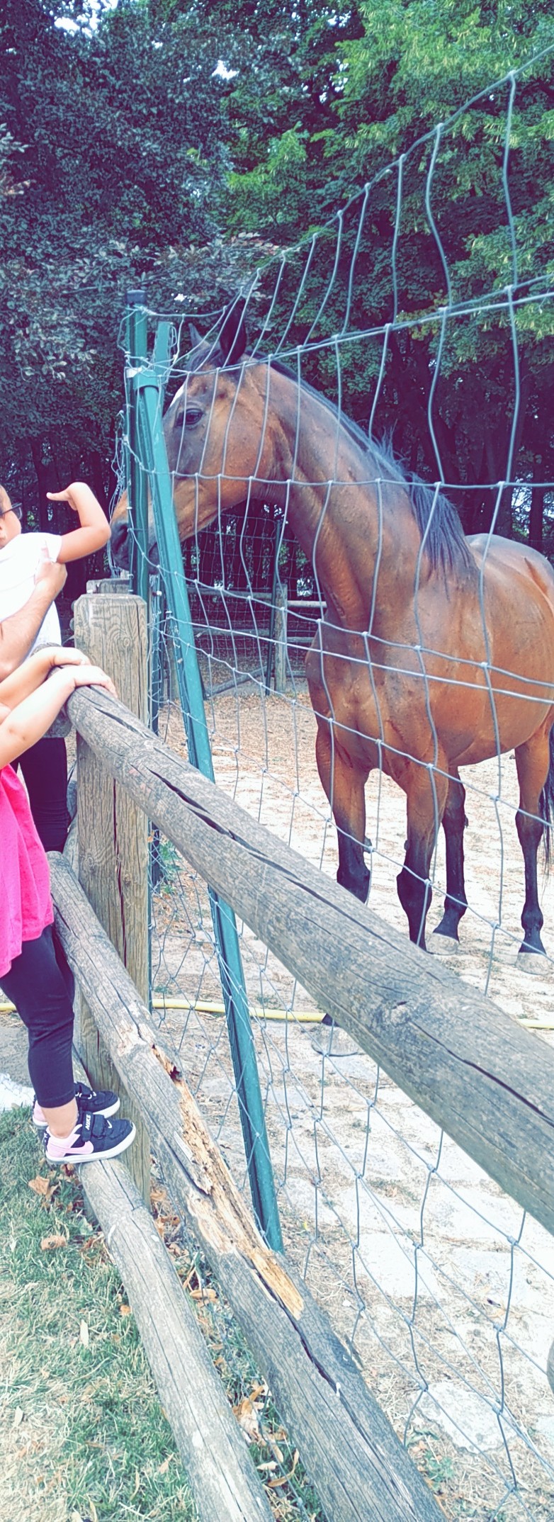 Photo n° 1 de l'avis de Nassima.o fait le 15/07/2020 à 19:39