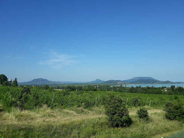 Afrika Múzeum - Magasles