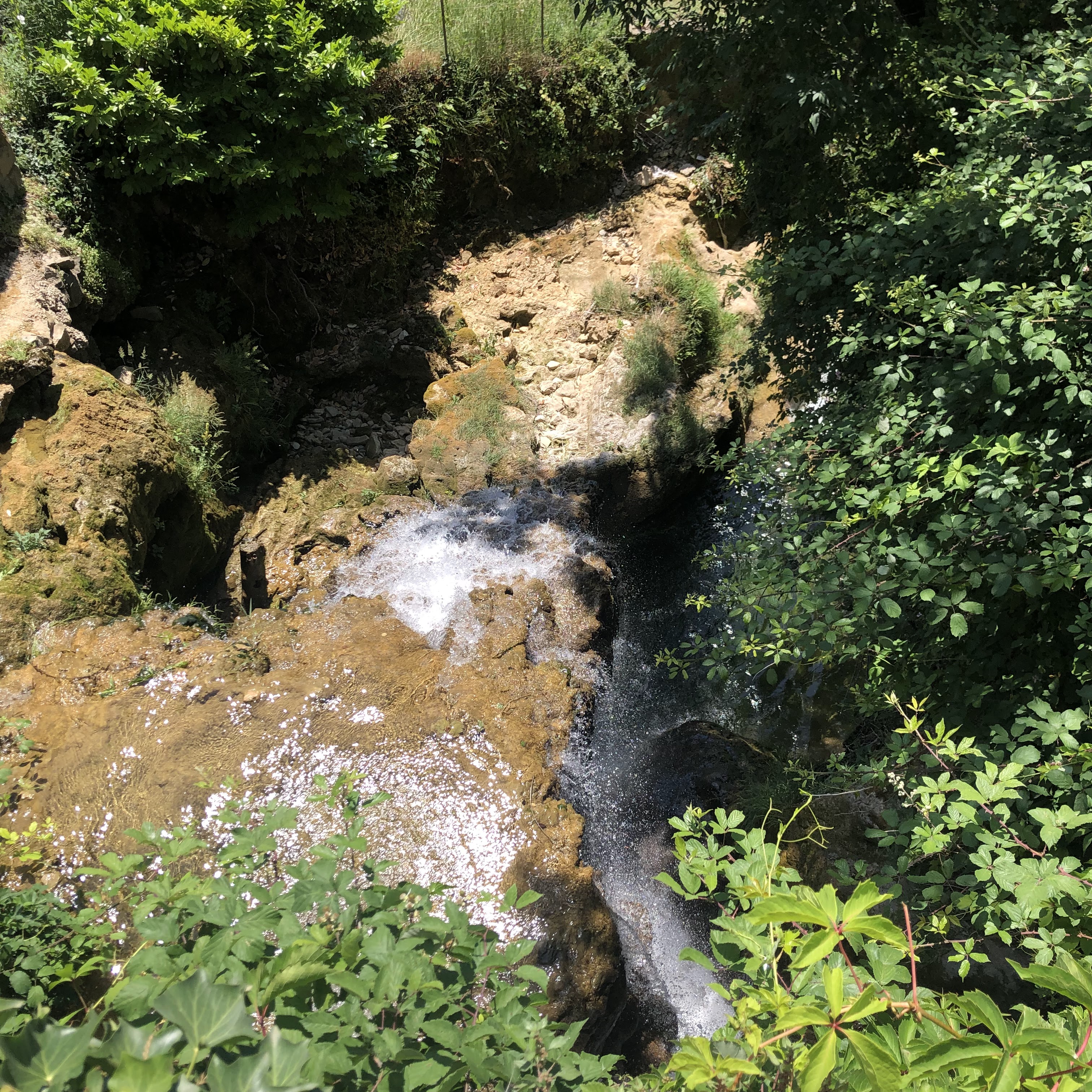 Photo n° 1 de l'avis de Wilhem.E fait le 14/07/2022 à 08:16