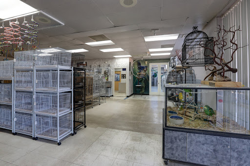 Bird Shop «Arizona Bird Store», reviews and photos, 565 S Dobson Rd, Mesa, AZ 85202, USA