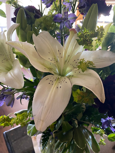 Florist «A Blue Moon Floral», reviews and photos, 300 E 6th Ave, Denver, CO 80203, USA