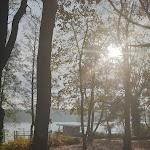 Photo n°4 de l'avis de Kathrin. fait le 20/11/2021 à 16:20 sur le  INSELHOTEL Potsdam-Hermannswerder à Potsdam