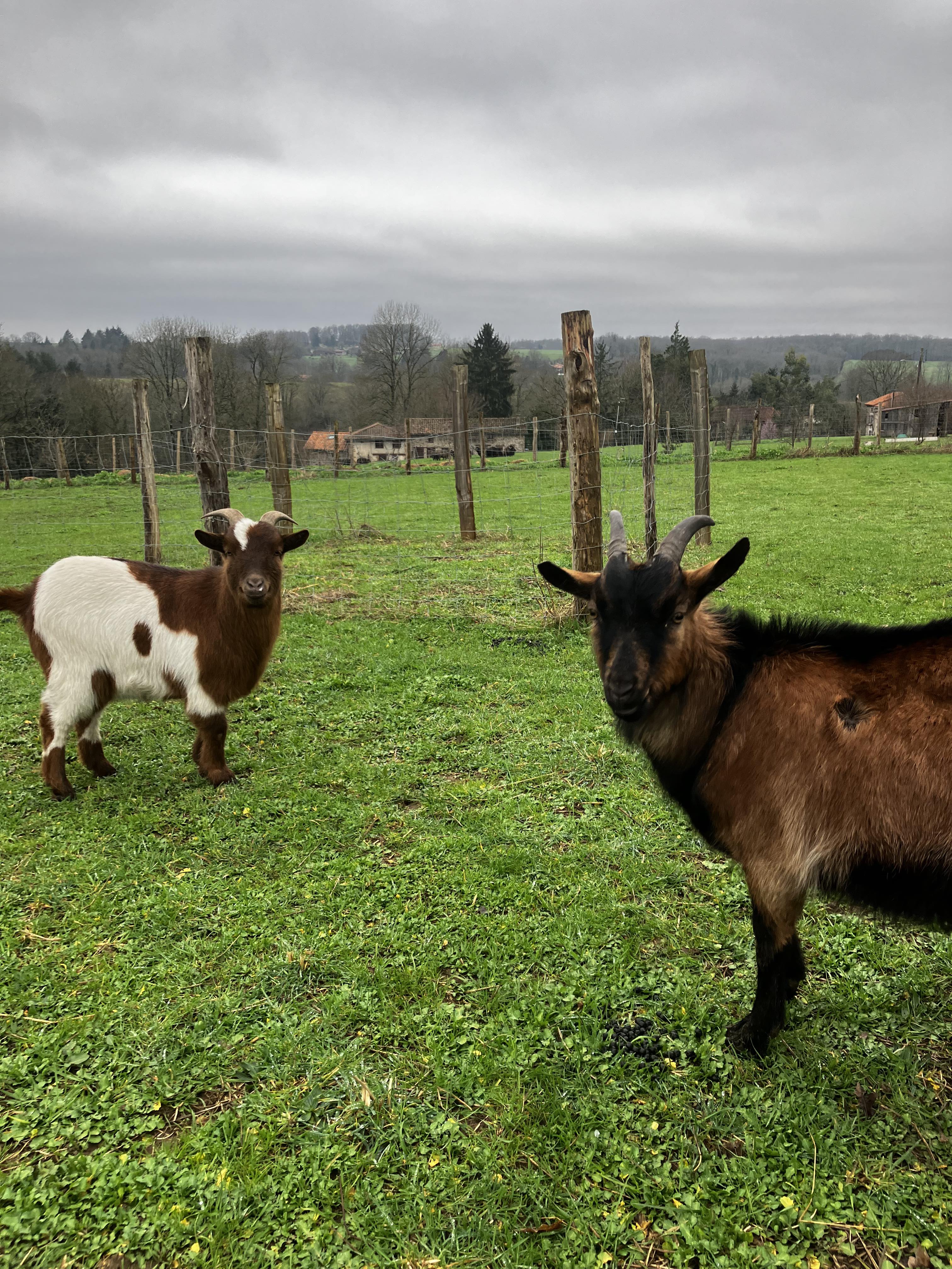 Photo n° 3 de l'avis de Clém. fait le 18/03/2024 à 14:38