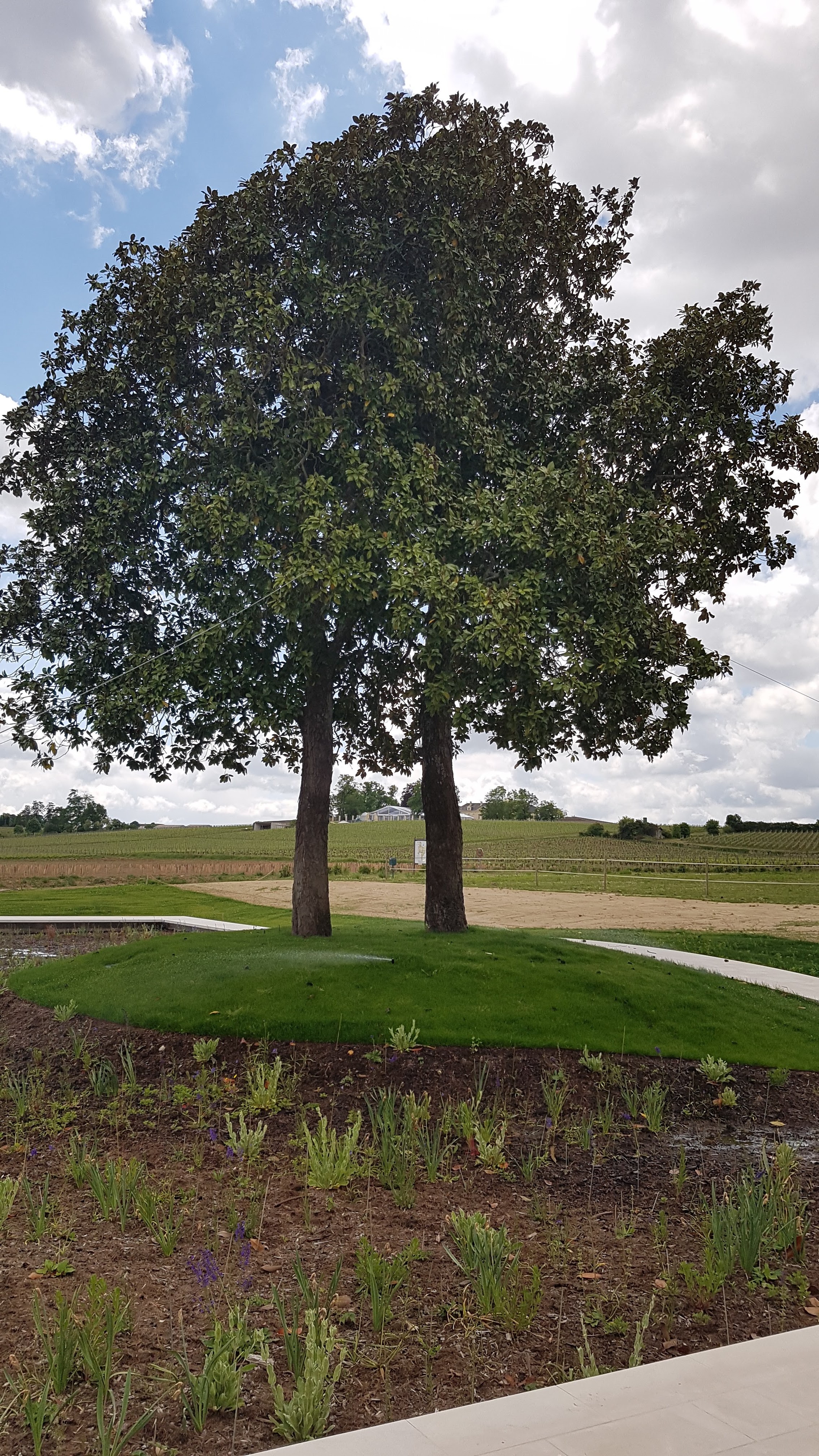 Photo n° 9 de l'avis de Andre.o fait le 13/05/2019 à 18:36