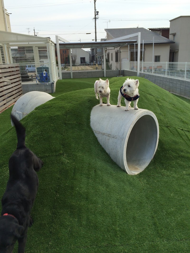 ベル動物病院 岐阜県岐阜市東島 動物病院 グルコミ