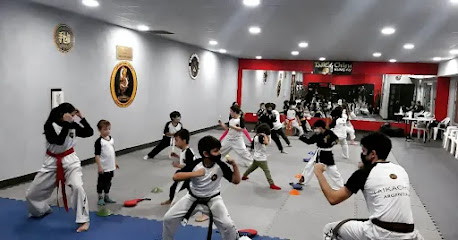 KUNG FU Estilo TaikaChisu - Kwoon Yanglungpu