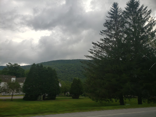 Resort «Hawk Inn and Mountain Resort», reviews and photos, 75 Billings Rd, Plymouth, VT 05056, USA