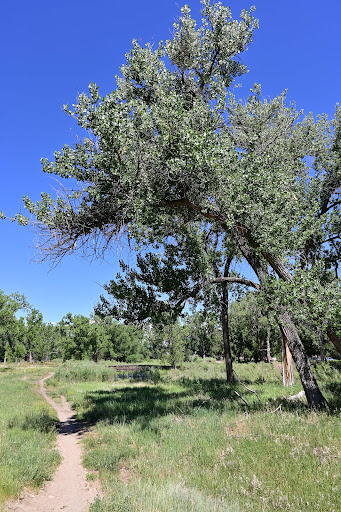 Park «Bear Creek Park», reviews and photos, 3550 S Raleigh St, Denver, CO 80236, USA
