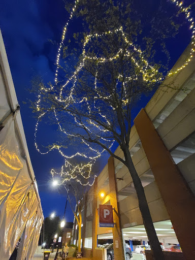 Performing Arts Theater «Metropolis Performing Arts Centre», reviews and photos, 111 W Campbell St, Arlington Heights, IL 60005, USA