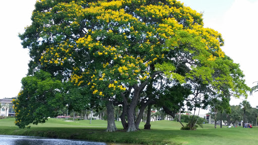 Golf Course «Largo Golf Course», reviews and photos, 12500 Vonn Rd, Largo, FL 33774, USA