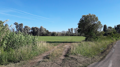 La Crau à Saint-Martin-de-Crau