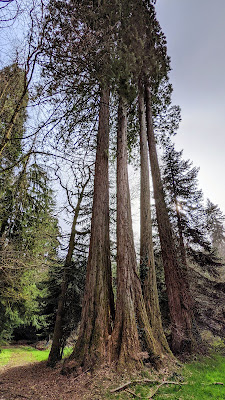 Arboretum Domanial de la Jonchère Saint Maurice à La Jonchère-Saint-Maurice