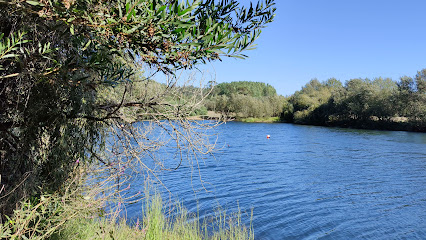Lagoa grande do Marachão