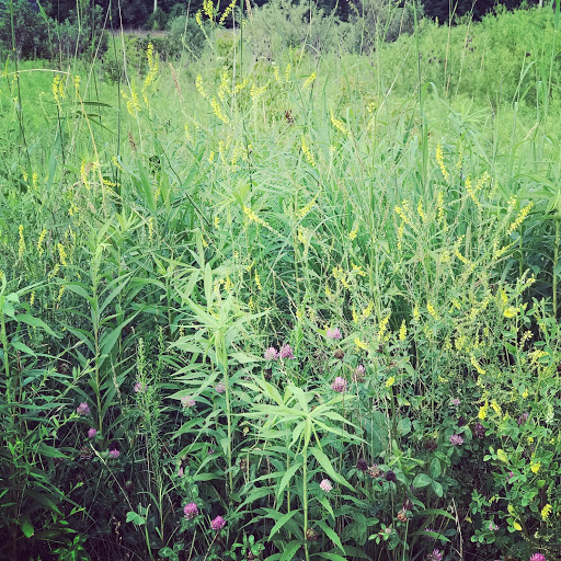 Park «Messenger Marsh», reviews and photos, S Bell Rd, Homer Glen, IL 60491, USA