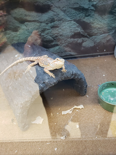 Pet Supply Store «Petco Animal Supplies», reviews and photos, 6596 Youree Dr, Shreveport, LA 71105, USA