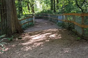 Edith Moulton Off Leash Area image