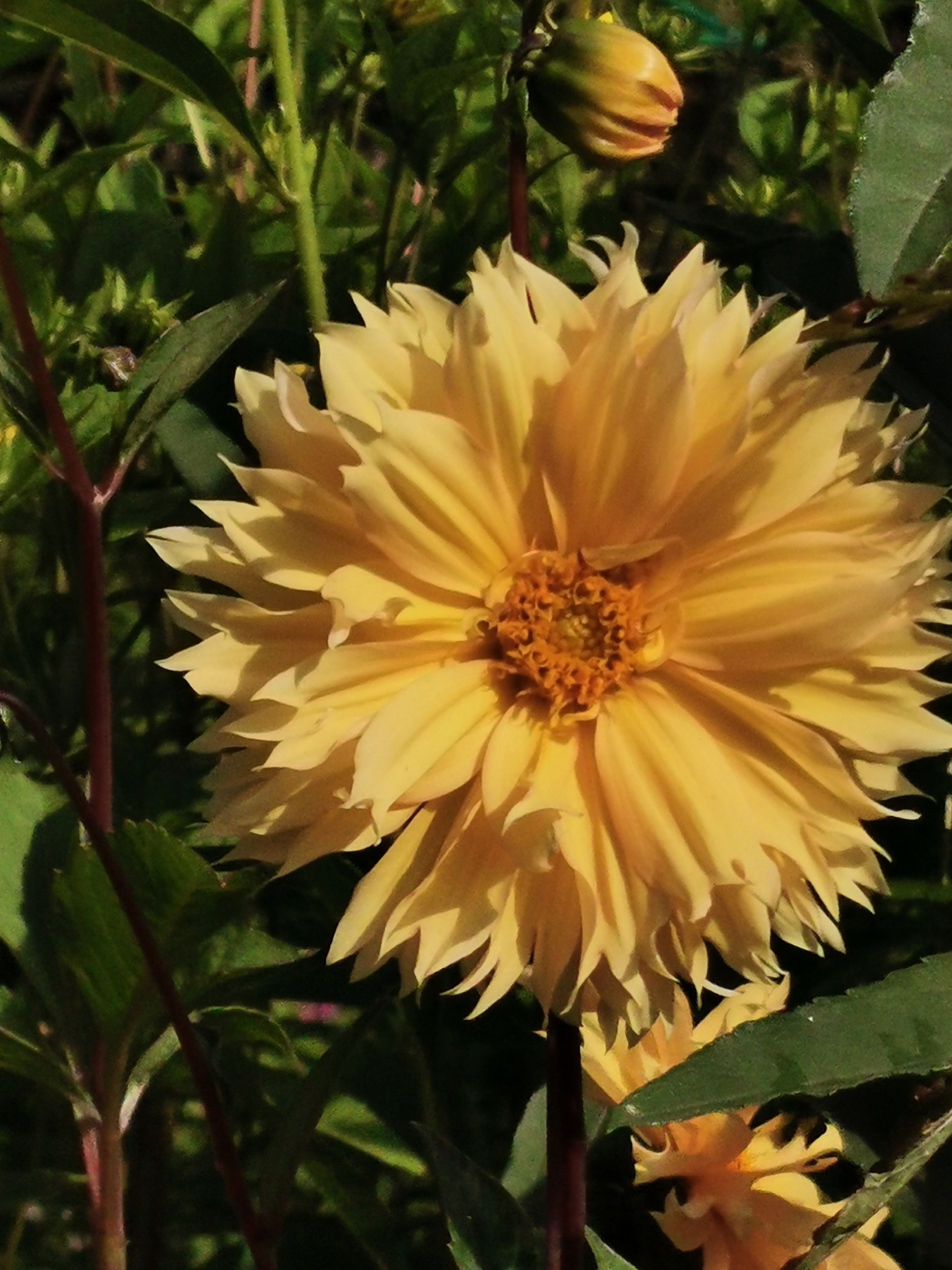 Photo n° 4 de l'avis de Sylvie.a fait le 22/08/2023 à 18:08