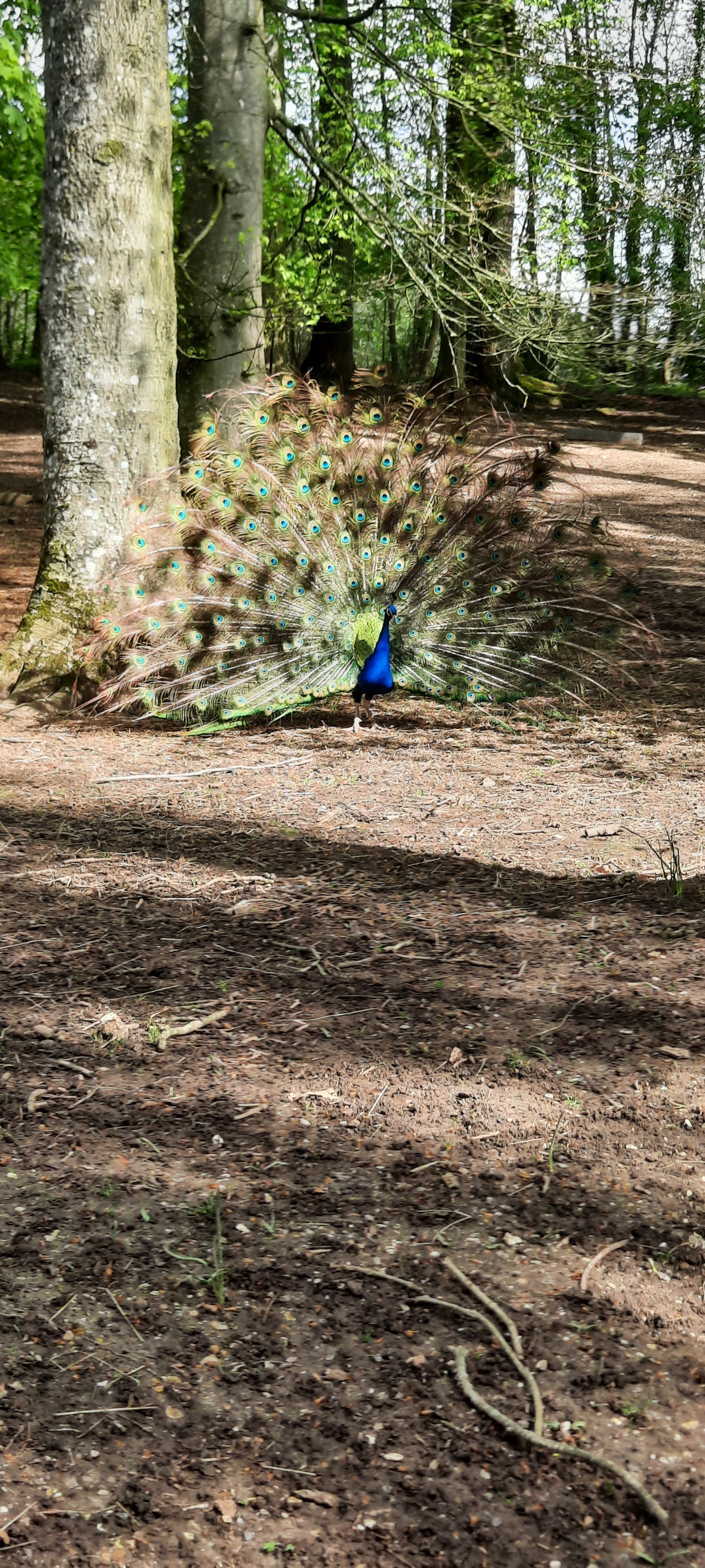 Photo n° 1 de l'avis de Jean-Charles.e fait le 02/05/2023 à 14:13