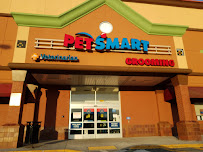 PetSmart - Photo 8 - Car repair in Mohegan Lake, NY, Danbury