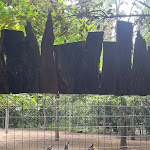 Photo n°2 de l'avis de Lucilla.z fait le 12/05/2023 à 16:36 sur le  Parc Gallorose à Loc. Cedrino