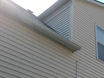 Little Dog Power Washing - Photo 7 - Car repair in , South Lyon