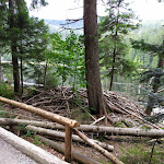 Photo n°2 de l'avis de bernd.o fait le 18/09/2020 à 09:18 sur le  Arberseehaus à Bayerisch Eisenstein