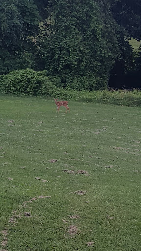 Golf Course «Mount Pleasant Golf Course», reviews and photos, 6001 Hillen Rd, Baltimore, MD 21239, USA