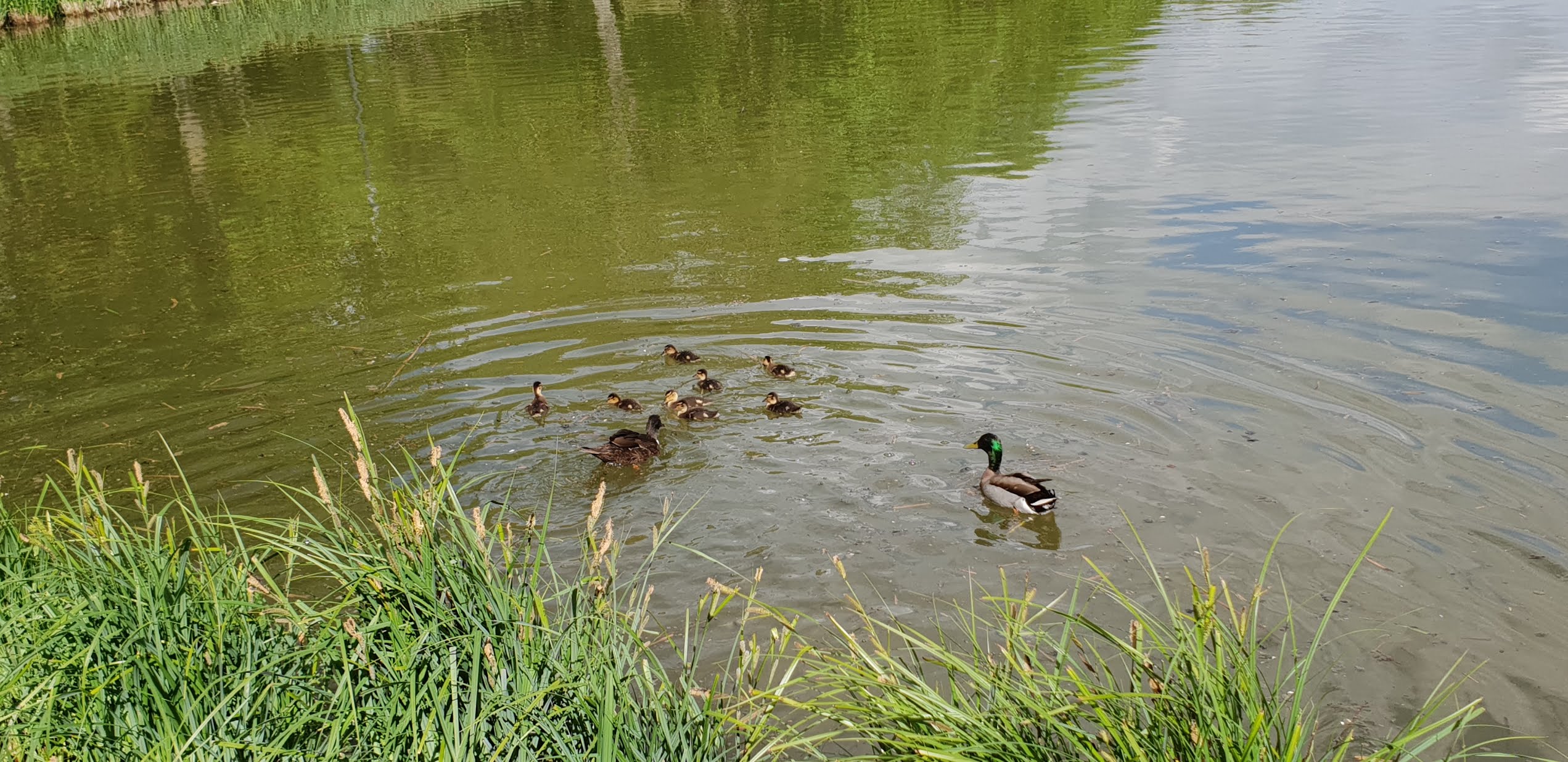 Photo n° 17 de l'avis de Dominique.A fait le 26/04/2019 à 16:27
