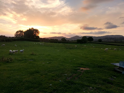 Lower Broughton Farm Montgomery SY15 6SZ, United Kingdom