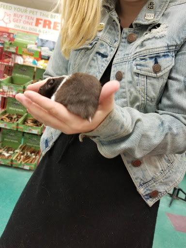 Shopping Mall «Iowa City Marketplace», reviews and photos, 1660 Sycamore St, Iowa City, IA 52240, USA