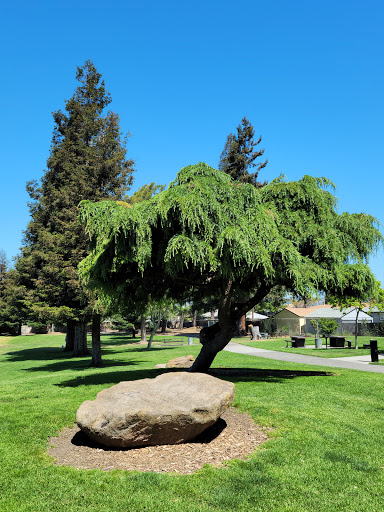 Park «Halcyon Park», reviews and photos, 1245 147th Ave, San Leandro, CA 94578, USA