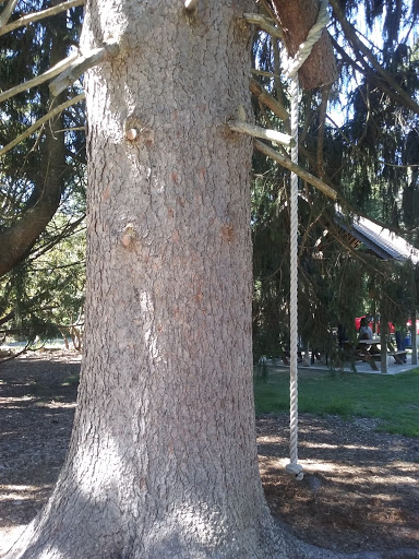 Nature Preserve «Lorrimer Sanctuary», reviews and photos, 790 Ewing Ave, Franklin Lakes, NJ 07417, USA