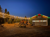 Thomas Leigh Lighting, LLC - Photo 3 - Car repair in , Eau Claire