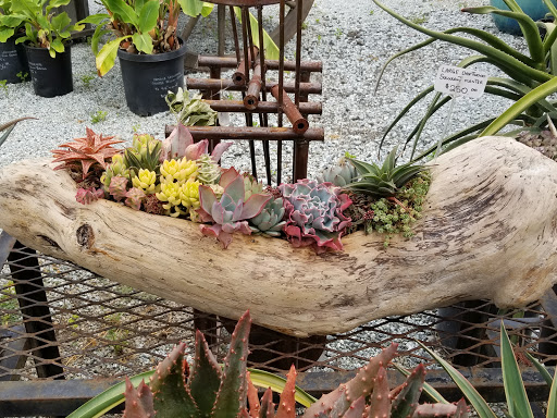 Gift Shop «Alladin Nursery & Gift Shop», reviews and photos, 2905 Freedom Blvd, Watsonville, CA 95076, USA