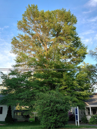 Grocery Store «Safeway», reviews and photos, 1688 Anderson Rd, McLean, VA 22102, USA