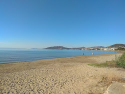 Photo de Artemis beach avec #44