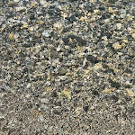 Photo n°1 de l'avis de Siwar.e fait le 05/11/2023 à 23:27 sur le  Tartarughino Porto Rotondo à Porto Rotondo