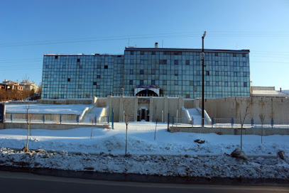 Van Yüksek İhtisas Hastanesi