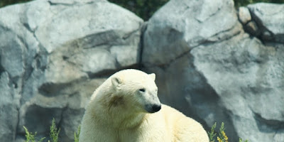 Assiniboine Park