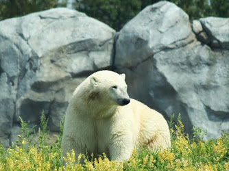 Assiniboine Park