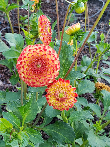 Park «Oxbow Park», reviews and photos, 6430 Corson Ave S, Seattle, WA 98134, USA