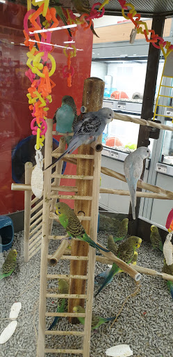 Pet Supply Store «Petco Animal Supplies», reviews and photos, 2765 Papermill Rd G-1, Reading, PA 19610, USA