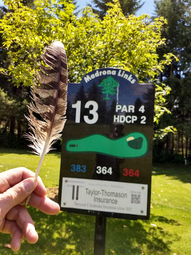 Public Golf Course «Madrona Links Golf Course», reviews and photos, 3604 22nd Ave NW, Gig Harbor, WA 98335, USA