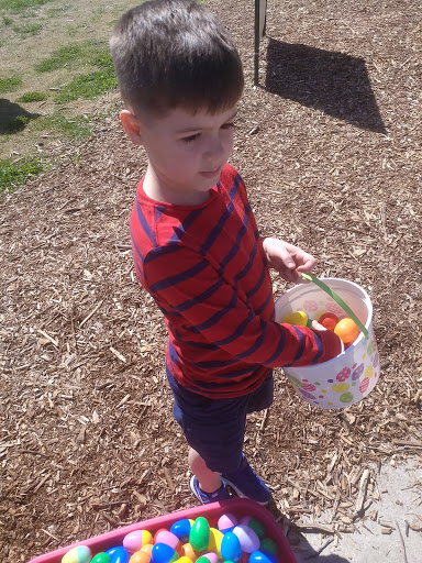 Farm «Warbington Farms (U-Pick Strawberries)», reviews and photos, 5555 Crow Rd, Cumming, GA 30041, USA