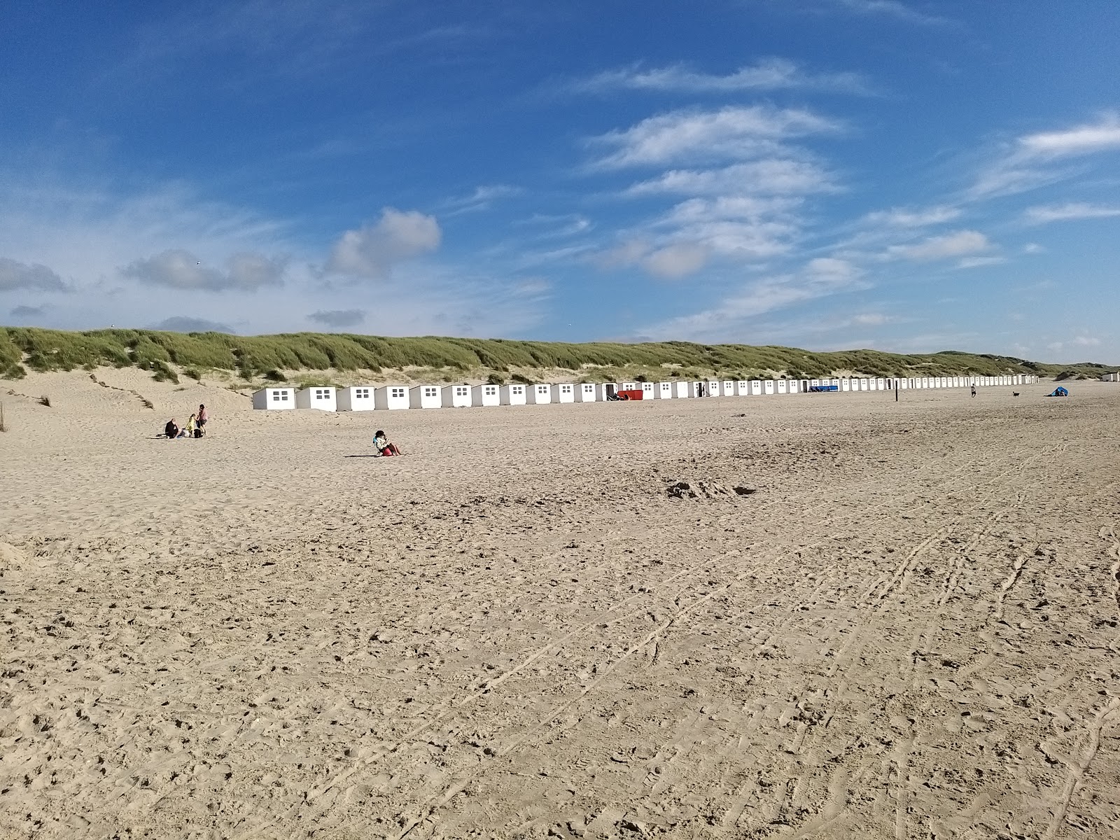 Texel Duinen photo #8