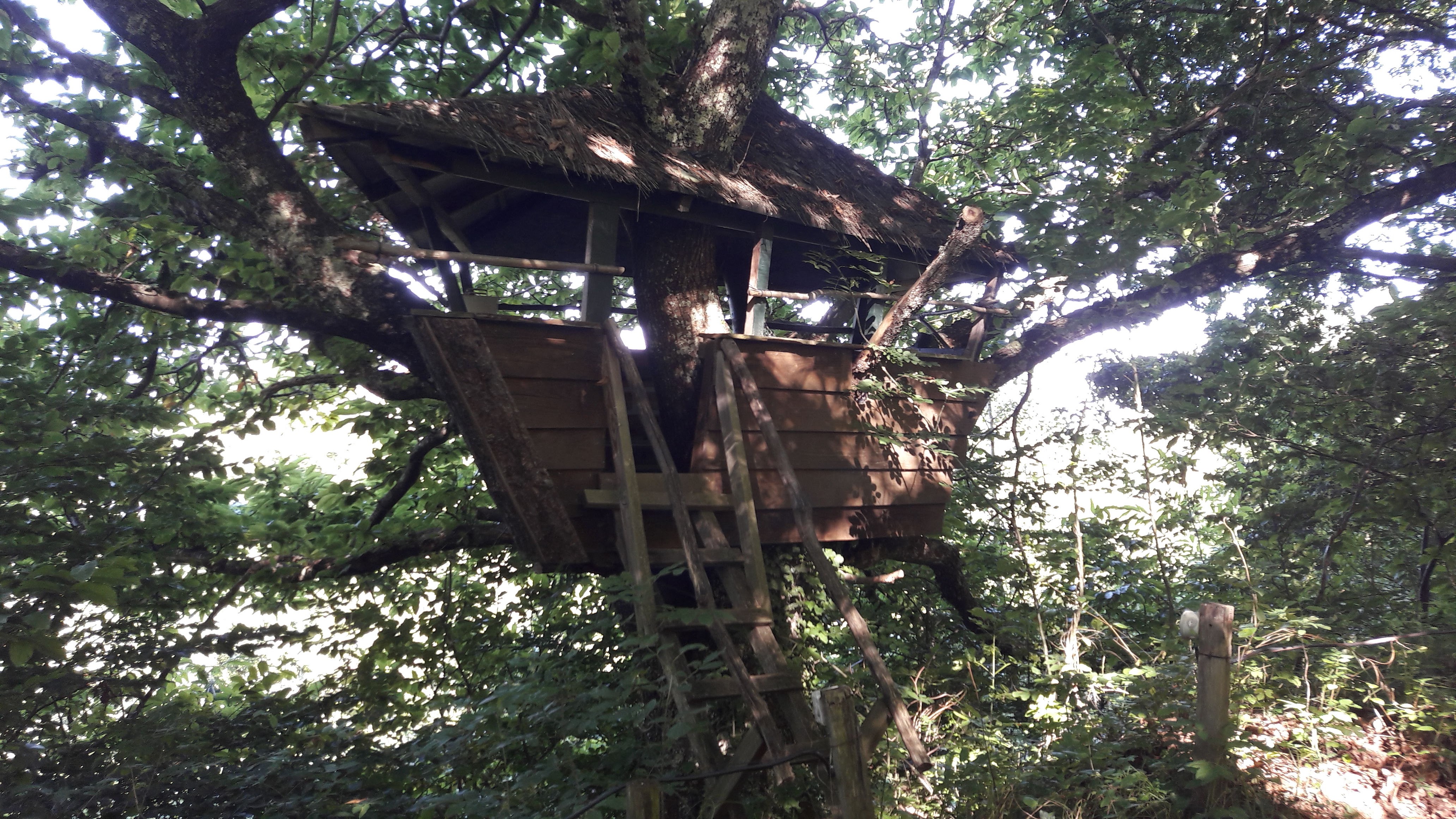 Photo n° 10 de l'avis de Laurence.a fait le 26/08/2018 à 12:16