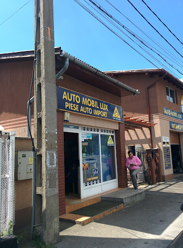 Auto Check Center-Auto Mobil Lux