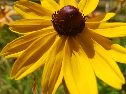 Historical Landmark «Smith-Appleby House», reviews and photos, 220 Stillwater Rd, Smithfield, RI 02917, USA