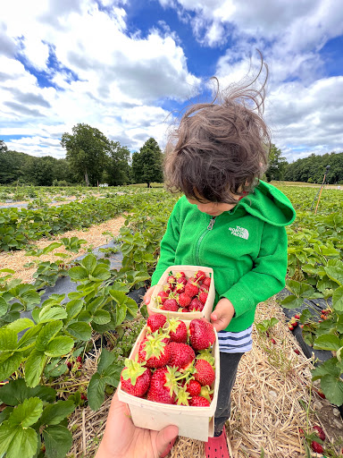 Farm «Langwater Farm», reviews and photos, 209 Washington St, North Easton, MA 02356, USA